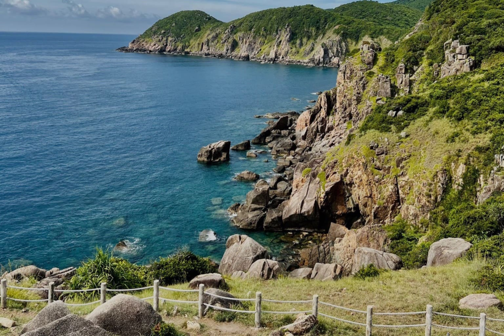 Tour Phú Yên 1 ngày – Khám phá xứ sở hoa vàng cỏ xanh