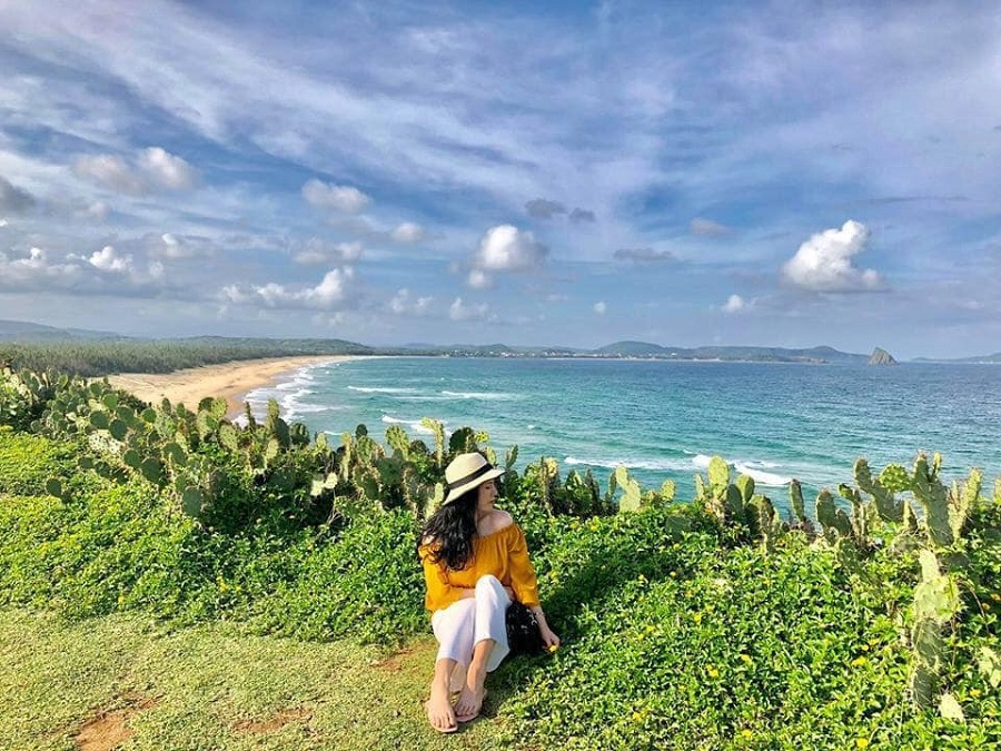 Tour Phú Yên 1 ngày – Khám phá xứ sở hoa vàng cỏ xanh - Ảnh 13